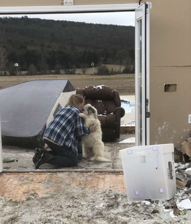 kutyát és családját elszakította a tornádó