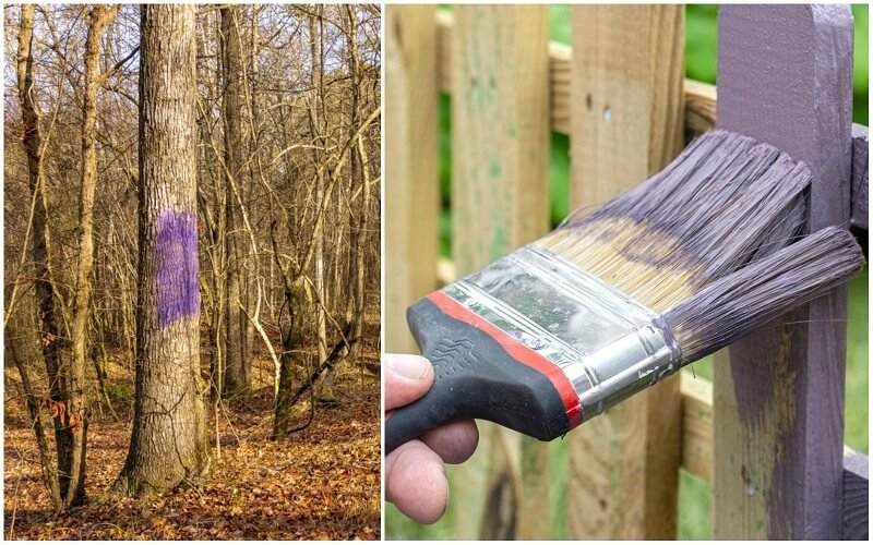 Mit jelent, ha egy lila színű sávot látsz egy fa kerítésen vagy fán? Ez a jelzés életmentő lehet!