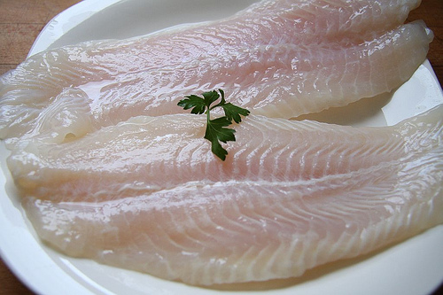 pangasius, egészségtelen étel, halfogyasztás, cápaharcs