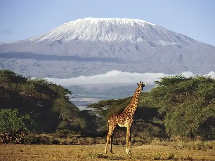 afrika, házasság, Identitás, Kaland, Kenya, Kultúra, Maszáj, Önéletrajz, sors, szerelem